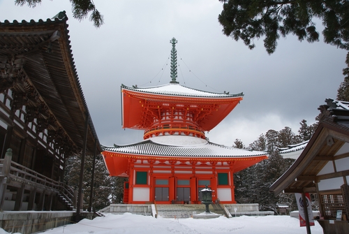 Japan | The calm after the storm 