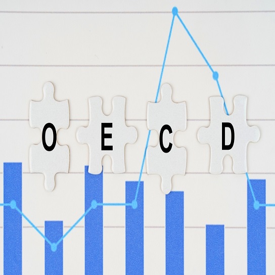 EcoPulse | Octobre 2024