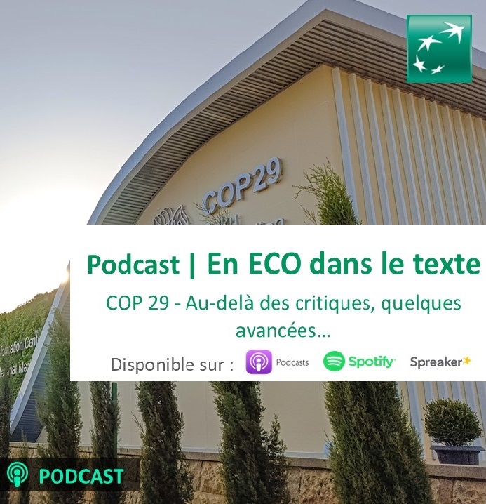 Podcast | COP29 - Au delà des critiques, quelques avancées...