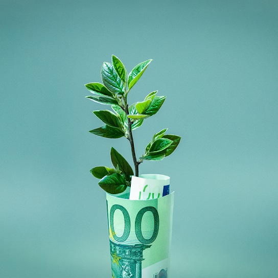 Will the euro be the true greenback in the future?