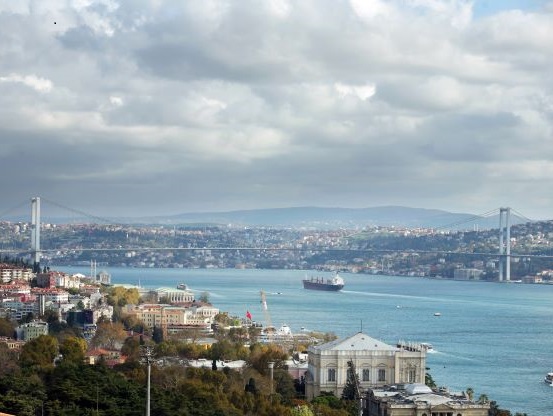 Turquie | Le roseau