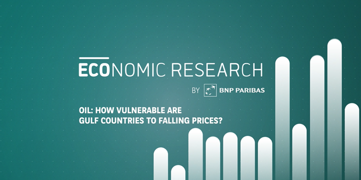 Oil: how vulnerable are Gulf countries to falling prices?