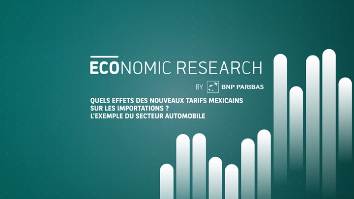 Quels effets des nouveaux tarifs mexicains sur les importations ? l’exemple du secteur automobile