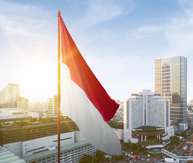 Indonesia: Pressure on public finances and external accounts