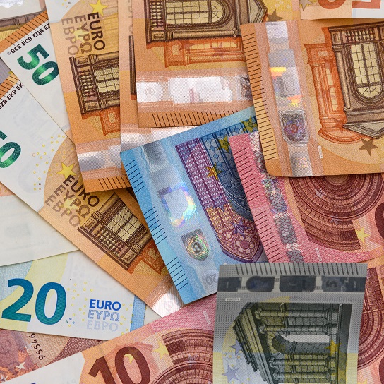 Are European households Ricardian?