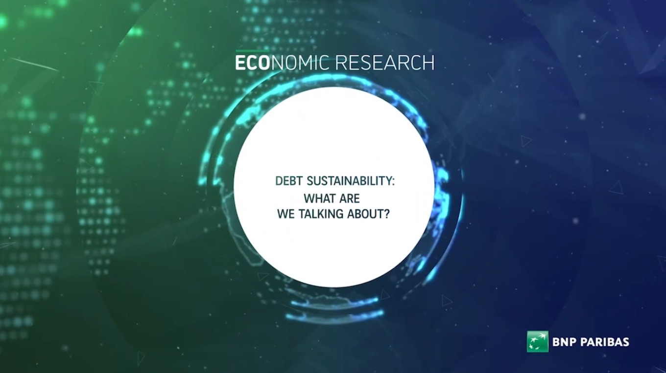 Debt sustainability: What are we talking about?