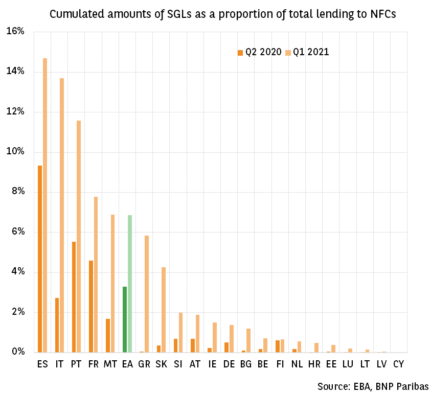 State-guaranteed loans account for 6.9% of all loans to NFCs