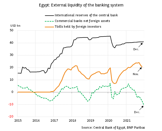 Egypt: pressure on foreign currency liquidity